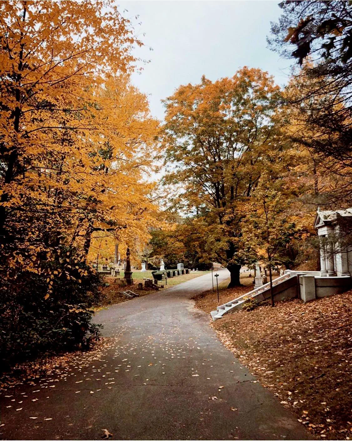 Forest-Hills-autumn
